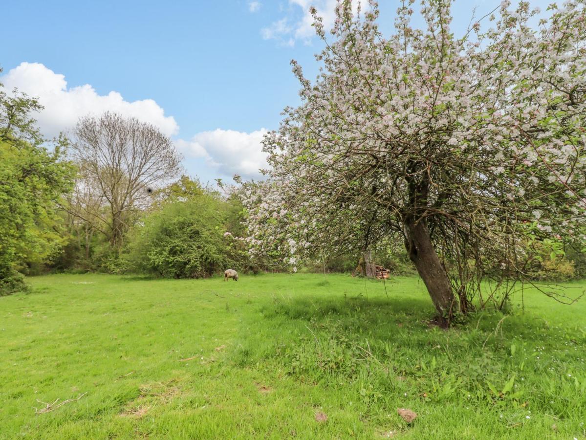 Meadow Lodge Berrys Place Farm Gloucester Luaran gambar